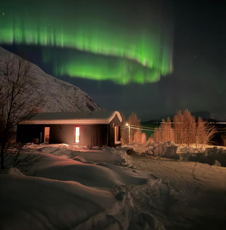 an image of the aurora borealis over a building at Lyngen Alps Inn in Lyngseidet