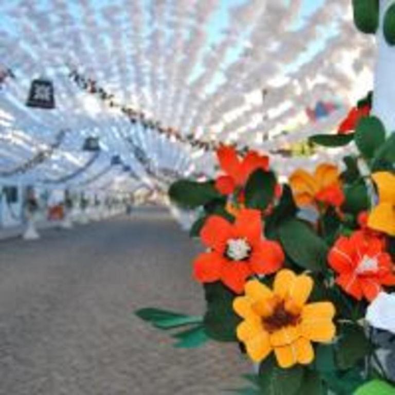 a bunch of flowers in front of a building at Casa BENVINDHA in Degolados