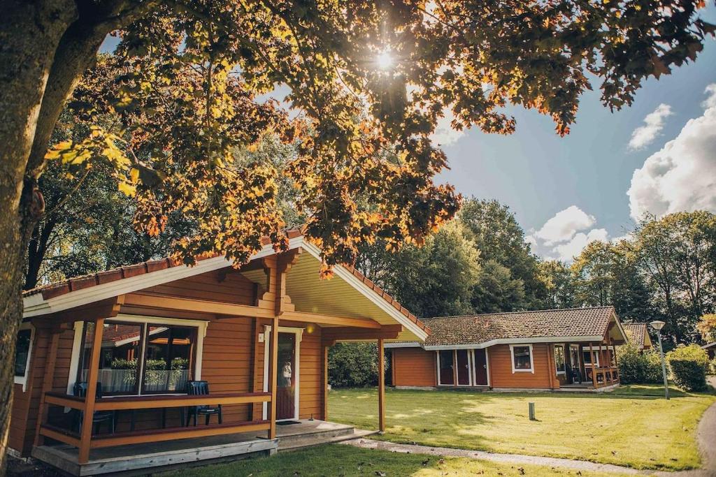 a house with a tree in front of it at The Nordic Retreat in Gramsbergen