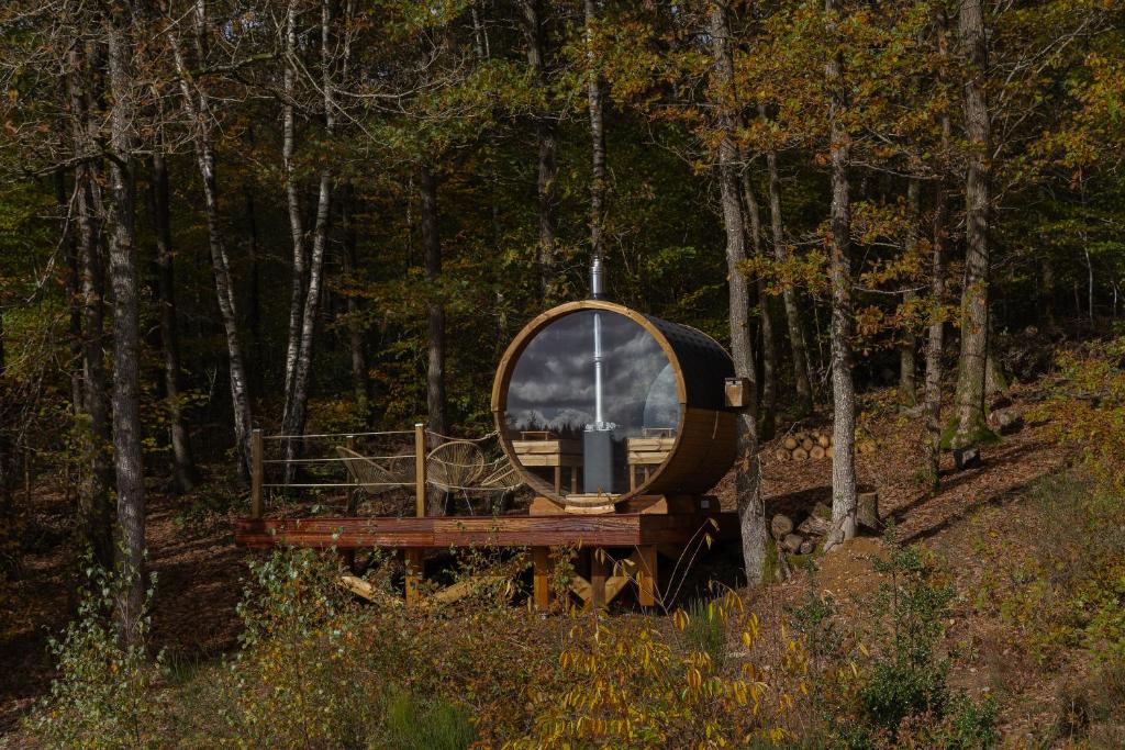 a round mirror sitting in the middle of a forest at Escapade Boisée in Vencimont