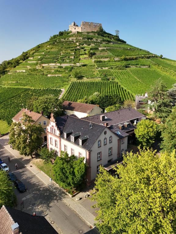 a village on a hill with a castle on top at Goethe Schwarzwald Boutiquehotel in Staufen im Breisgau