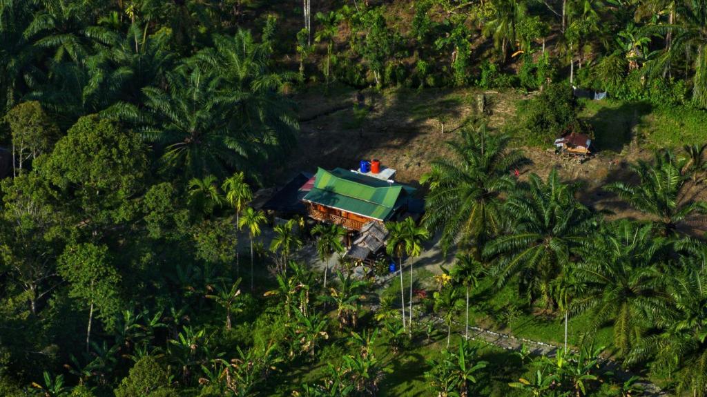 an aerial view of a house in the jungle at La Capanna Sumatra Ecovillage in Timbanglawang