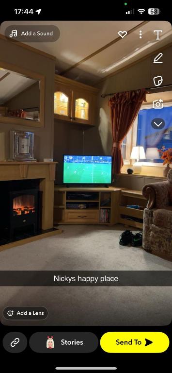 a living room with a tv and a fireplace at Nickys happy place in Greencastle