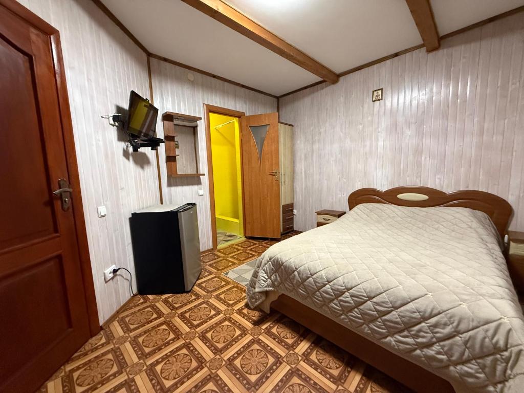 a bedroom with a bed and a television in it at healing waters in Skhidnitsa