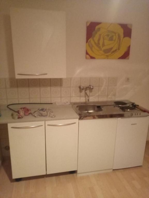 a kitchen with a sink and a counter top at Bauernwohnung in Waldmünchen