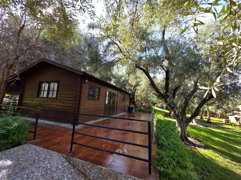 a wooden walkway leading to a cabin with a tree at Auberge RAMZ'S in Beni Mellal