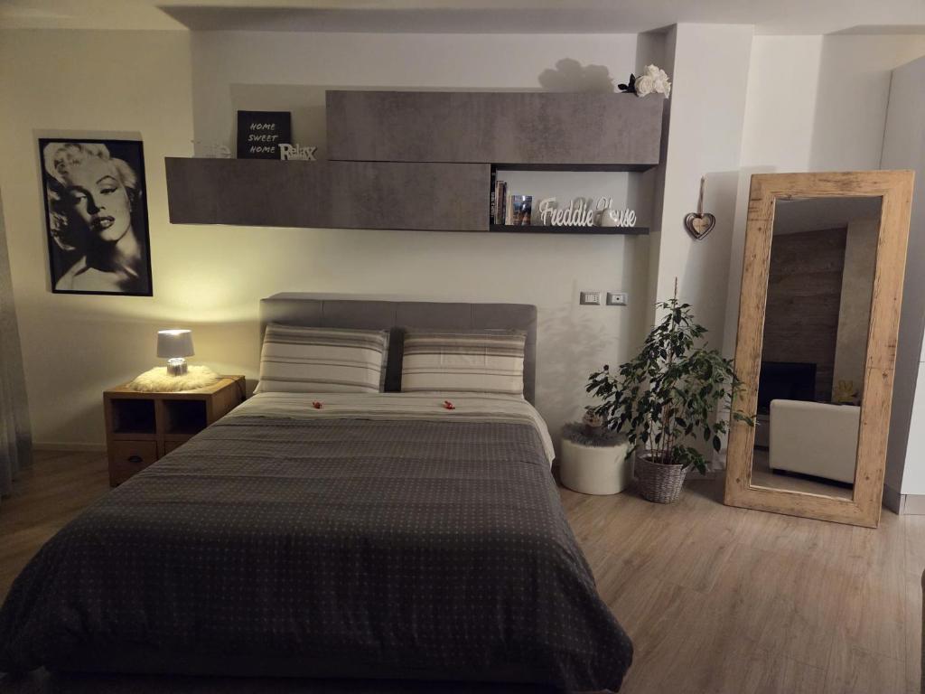 a bedroom with a large bed and a mirror at Freddie house in Albiano