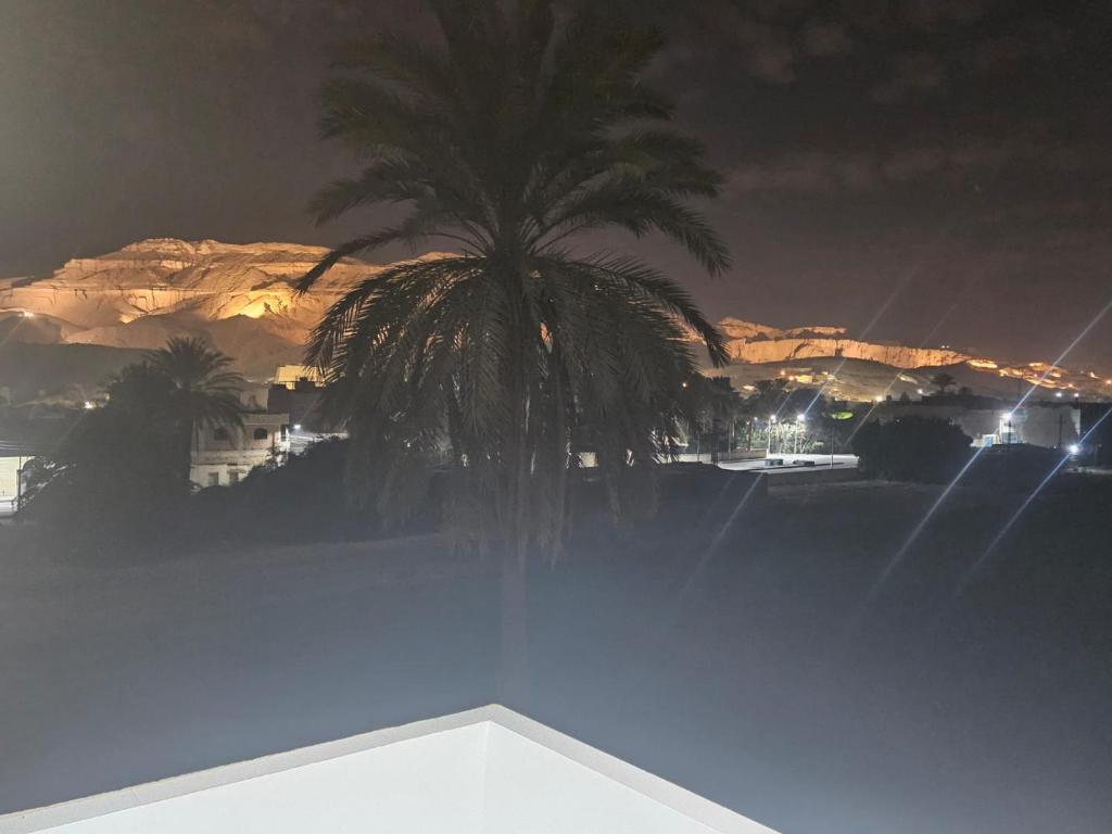a palm tree in front of a city at night at Luxor Family Home in Naj‘ ar Rizqah