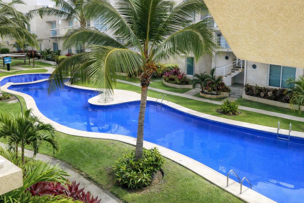 an overhead view of a swimming pool with a palm tree at Departamento en Marina Diamante con lago y alberca in Acapulco