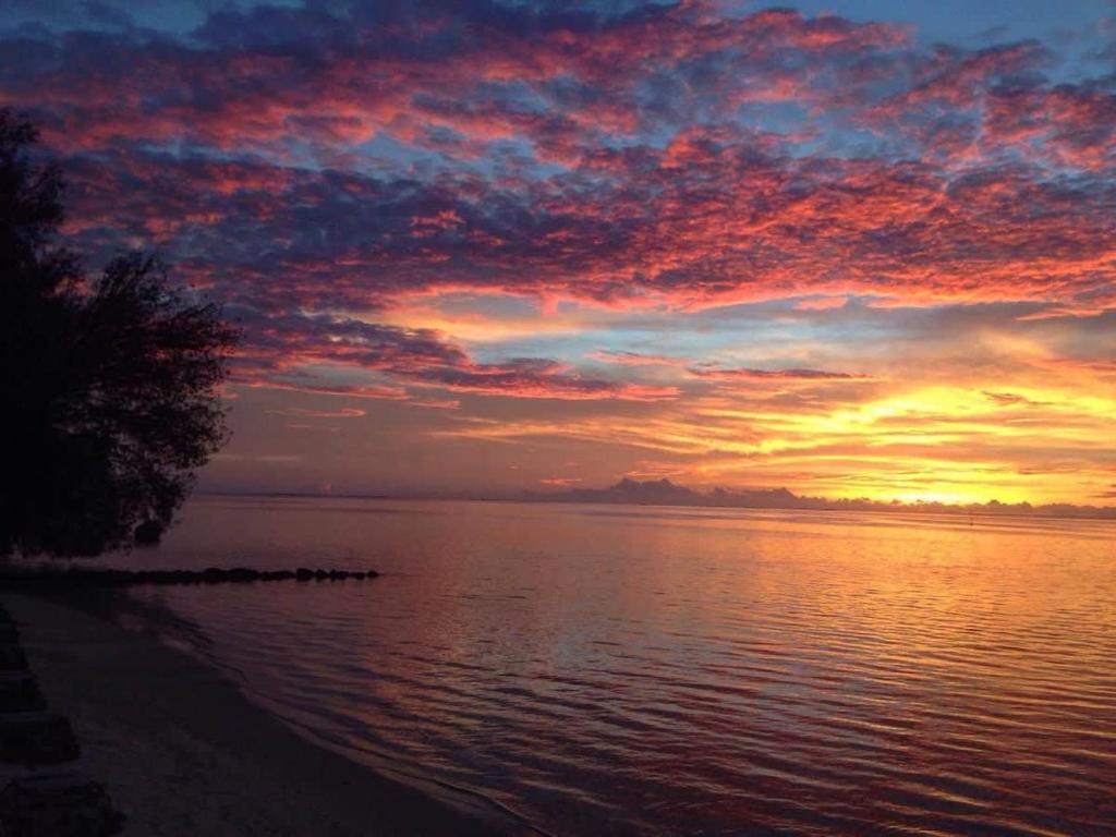 Charming 1BR Guesthouse in Beautiful Moorea - photo 5 - Moorea, Polynésie