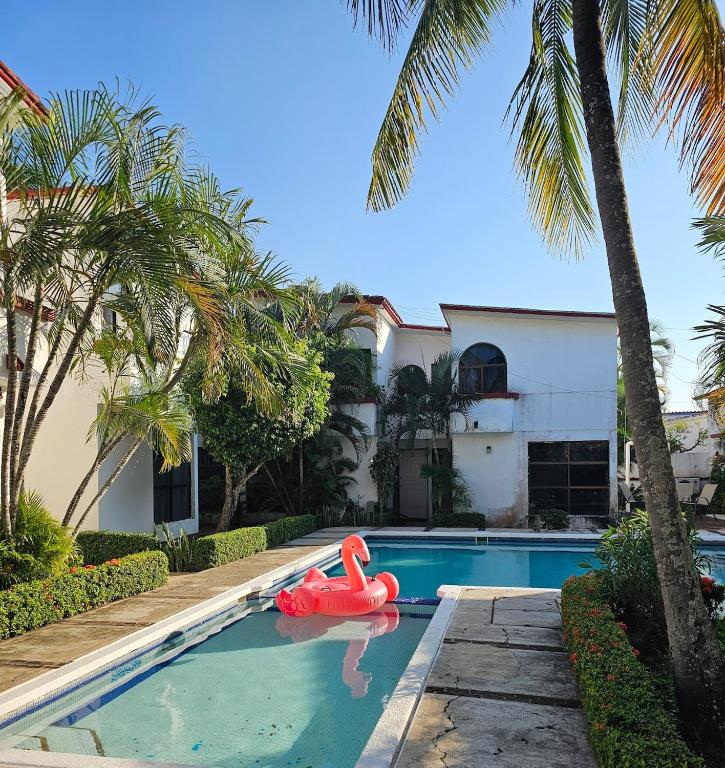 a swimming pool with a pink float in a house at Casa FLAMINGOS in Boca del Río