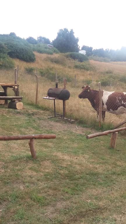 Chacra Don Benito Chonchi