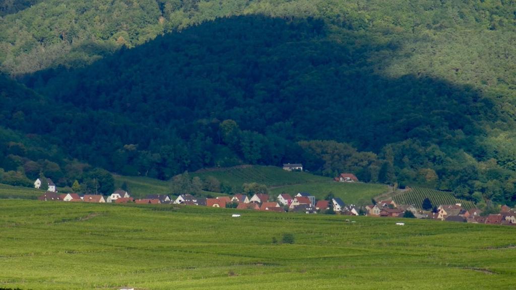 Birgele – photo 16
