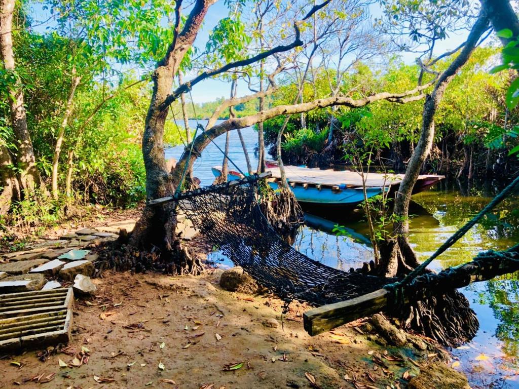 a boat in the water next to a tree at Thotupola Villa - Mirissa in Mirissa