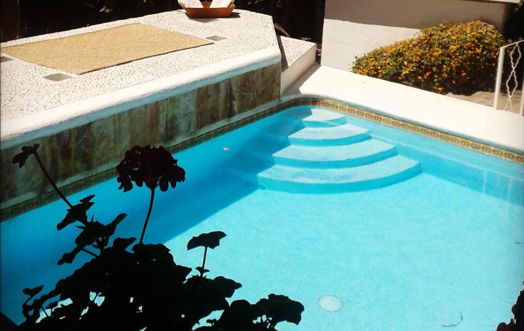 una piscina de agua azul y una planta en La Casona Breakfast & Wellness Center, en Valle de Bravo