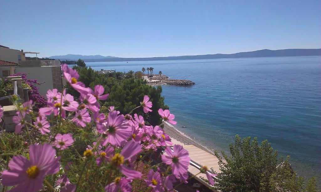 a view of a beach with pink flowers at Apartments Malina in Tučepi