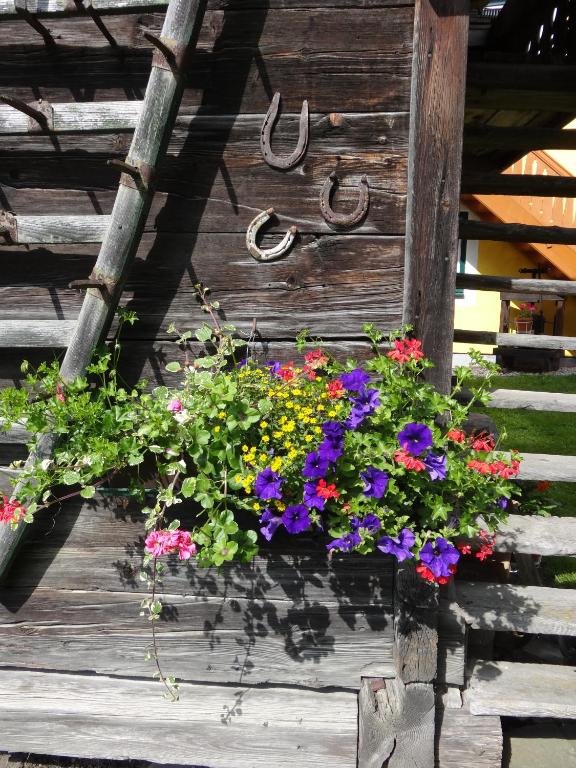 Zahrada ubytování Landhaus Tippl
