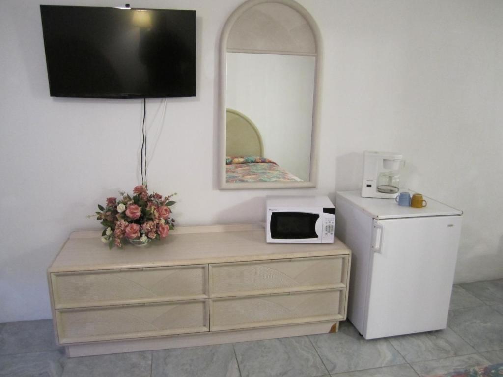 Kuchyň nebo kuchyňský kout v ubytování Apollo Motel