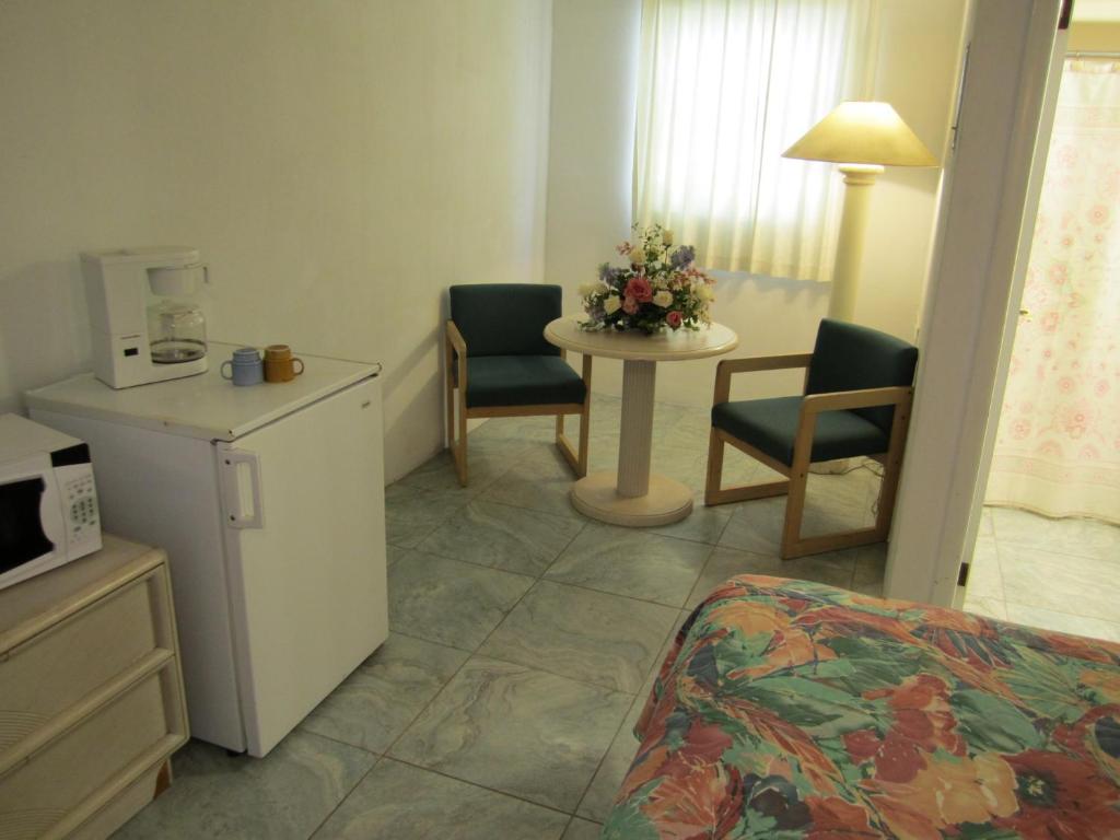 Kuchyň nebo kuchyňský kout v ubytování Apollo Motel