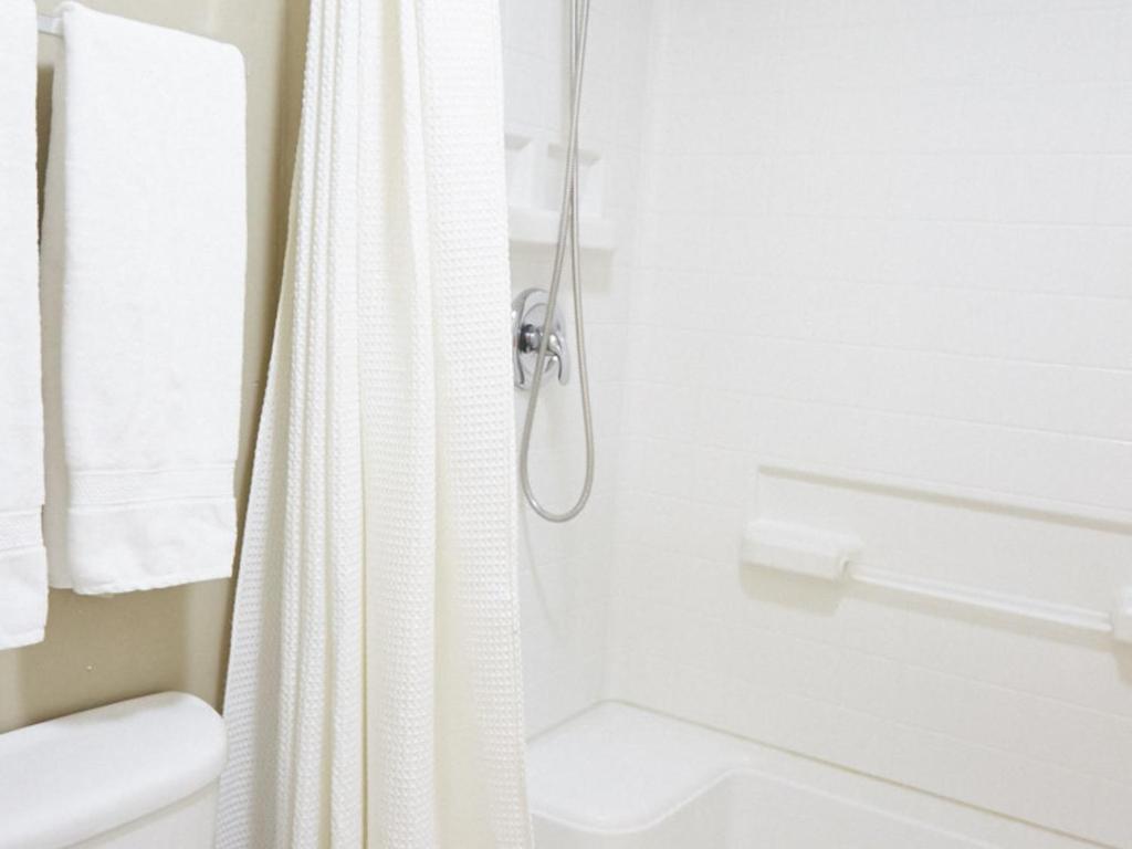 a bathroom with a shower curtain and a toilet at La Papaya in Marina di Pisa