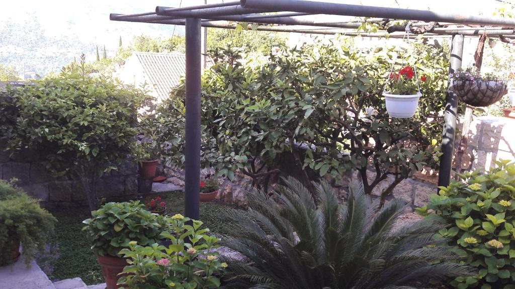 Jardin de l'établissement Kuća Cvjetković