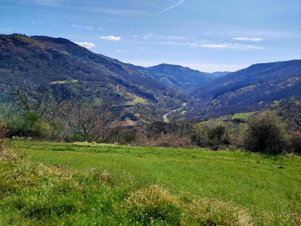 a green field with mountains in the background at Maison au calme entre Causses and Cévennes in Barre-des-Cévennes