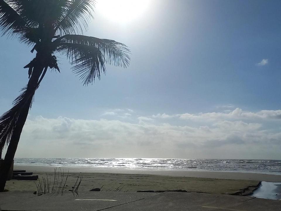 a palm tree on a beach with the ocean at Casinha beira praia Gaivota ,há 2 minutos da praia in Itanhaém