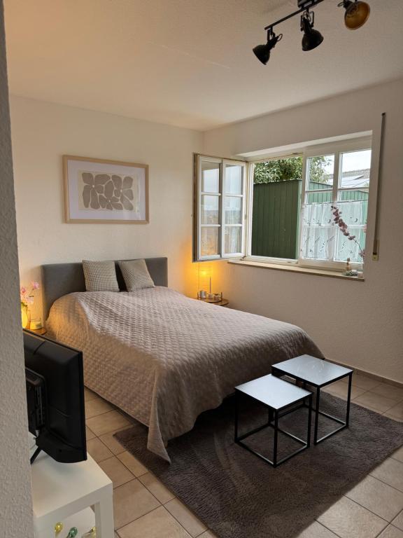 a bedroom with a bed and a tv in it at Apartment in Rimpar in Rimpar
