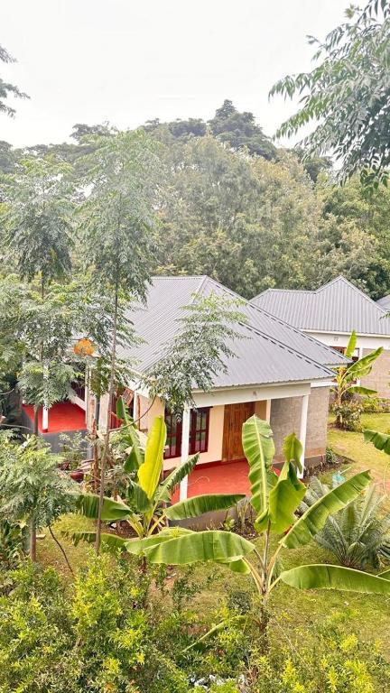 a red house in the middle of a forest at Two rivers lodge in Arusha