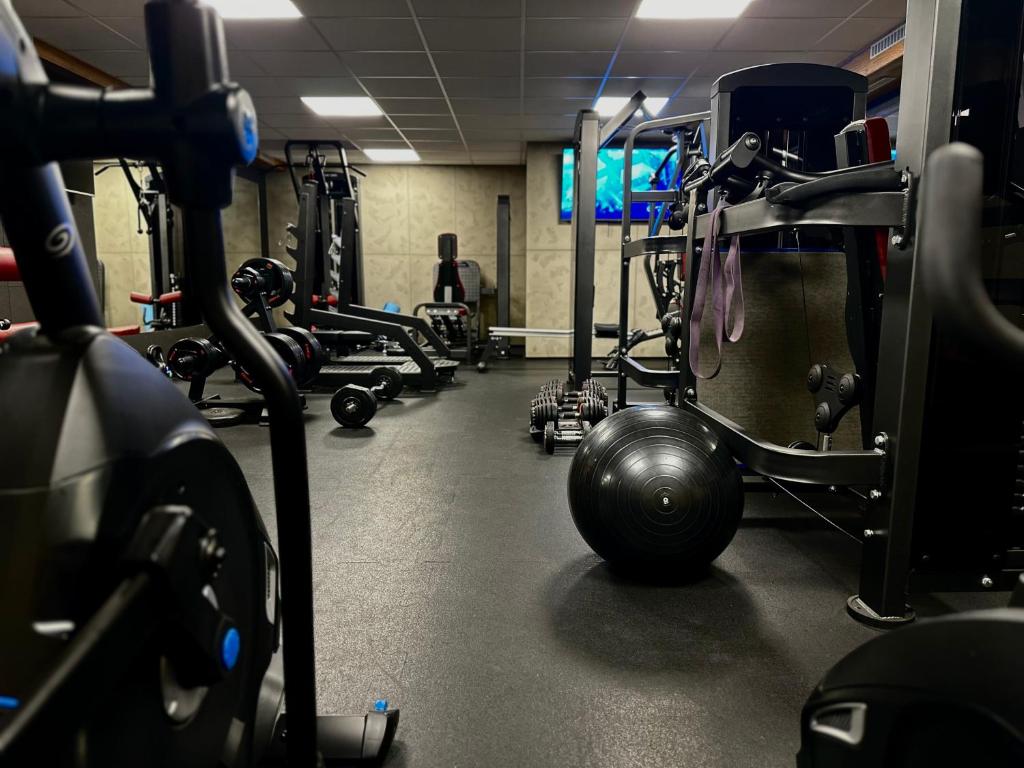 Wide-angle gym interior with racks, dumbbells, exercise ball, and cardio machine, low lighting