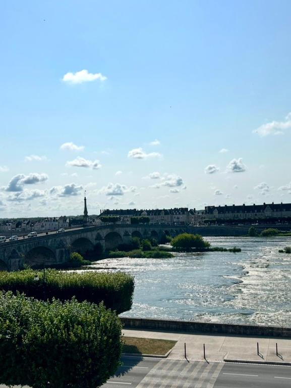 Appartement vue sur Loire