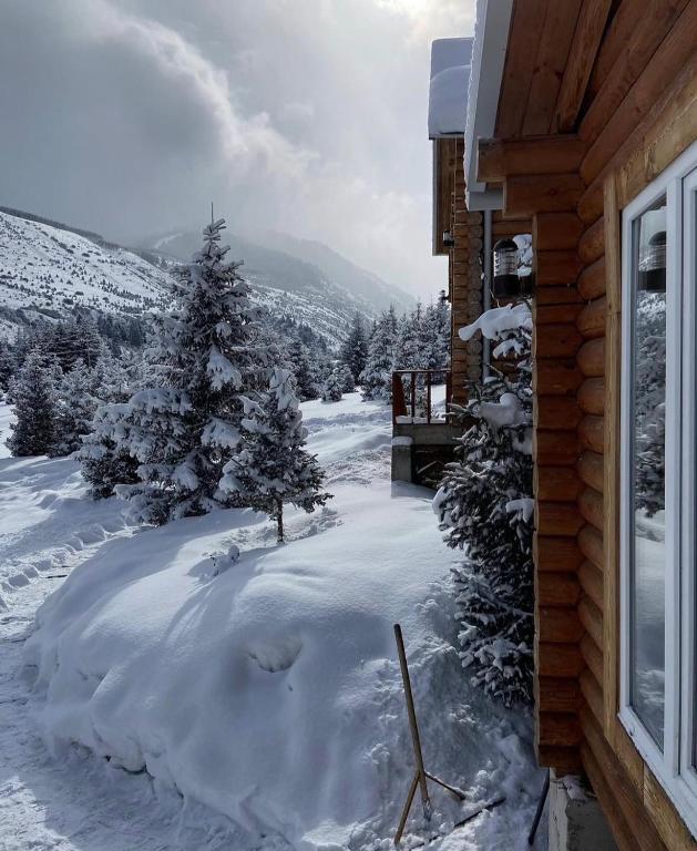 ein schneebedeckter Hof neben einem Haus in der Unterkunft Ene sai in Karakol