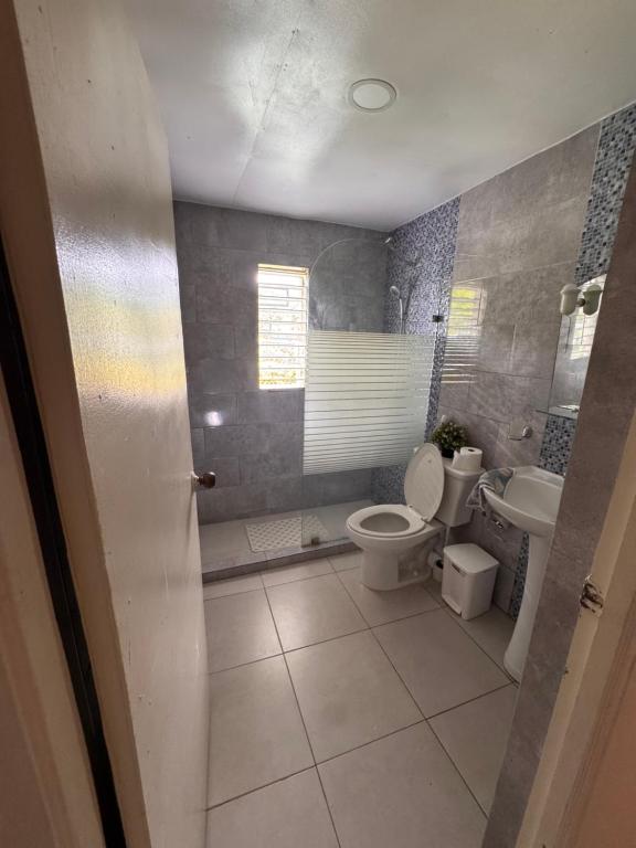 a bathroom with a toilet and a sink at Casa de campo El Bonao in Higuey