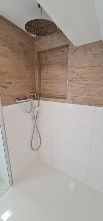 a shower in a bathroom with a wooden ceiling at Pension am Bach Prinz Charming in Fuldatal