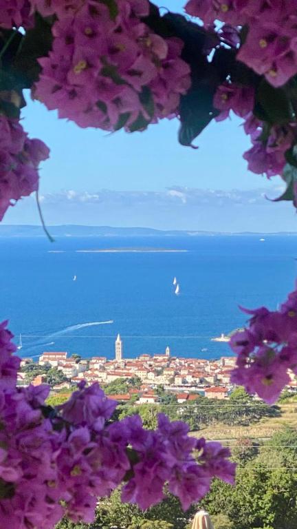 a view of a city with purple flowers at Apartments Panorama view Zeljko Scerbe in Rab