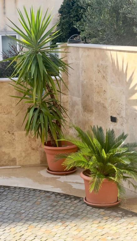 Apartments Teodo - 18