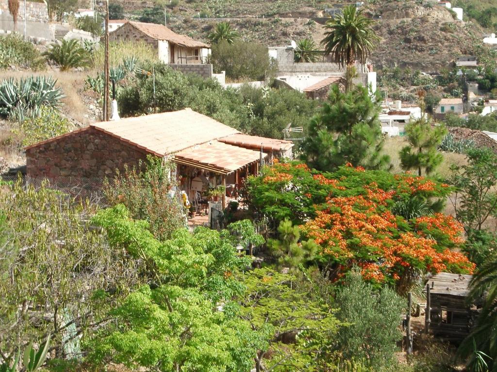 a small house on a hill with trees and flowers at La Casa de los Pinos Temisas in Temisas