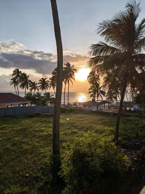 a group of palm trees in a field with the sunset at Sol de Caraúbas in Caraúbas