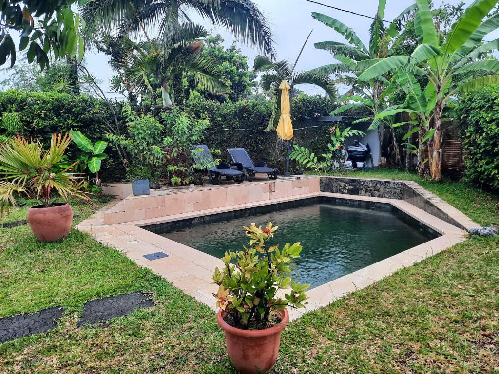 a swimming pool in a yard with plants and trees at Chambre cosy avec piscine in Saint-Benoît