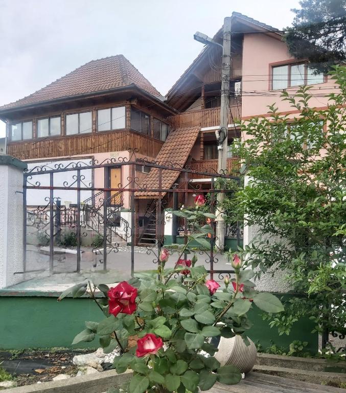 a house with a flower in front of it at Pensiune Supca in Râmnicu Vâlcea