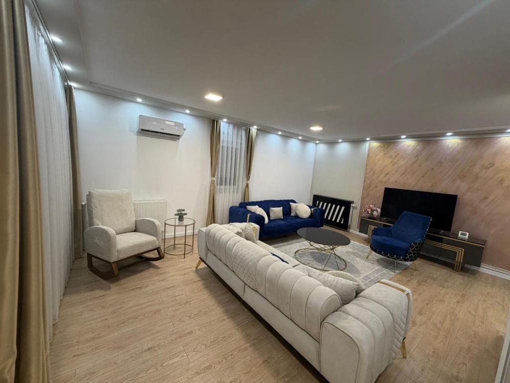 a living room with a couch and chairs and a fireplace at Stan na dan Jelah in Jelah