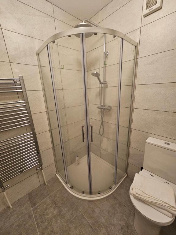 a glass shower in a bathroom with a toilet at Mini studio apartment in Tulla