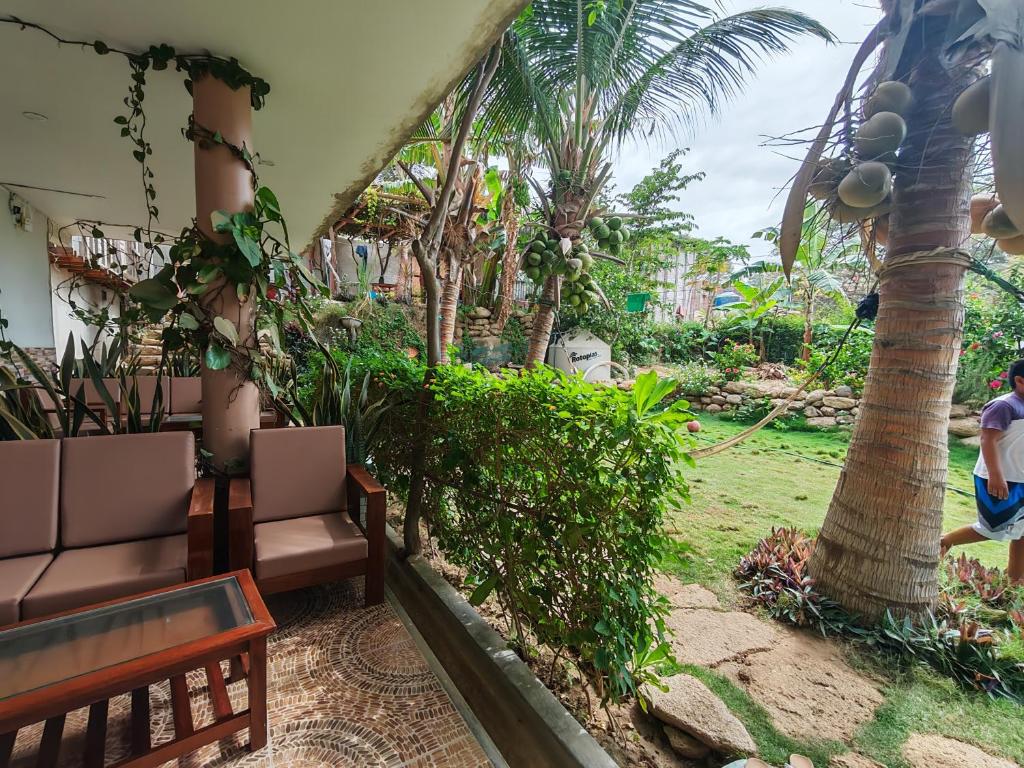a porch with chairs and a palm tree in a yard at Hospedaje Máncora in Máncora