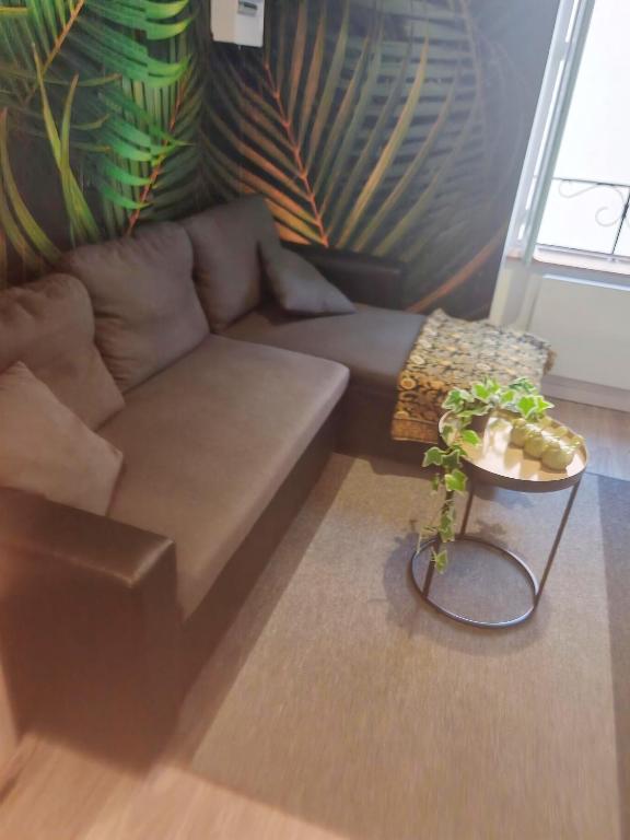 a living room with a couch and a table with a plant at Bulle tropicale jungle in Clermont-Ferrand