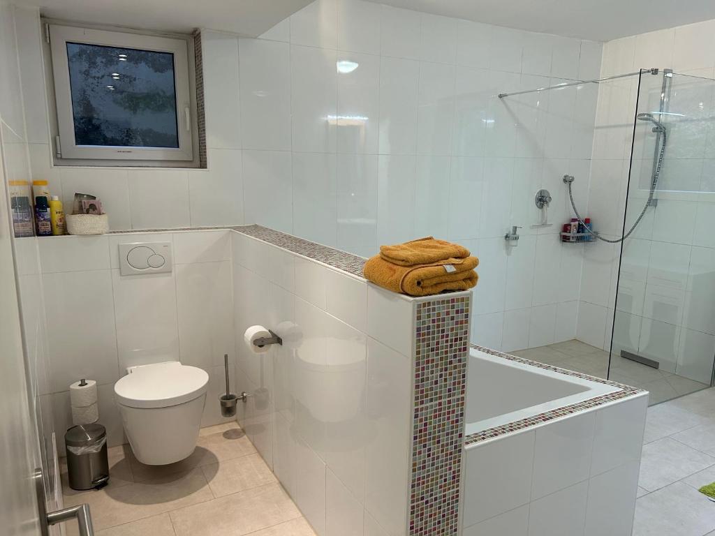 a white bathroom with a toilet and a shower at Garten Wohnung in Singen