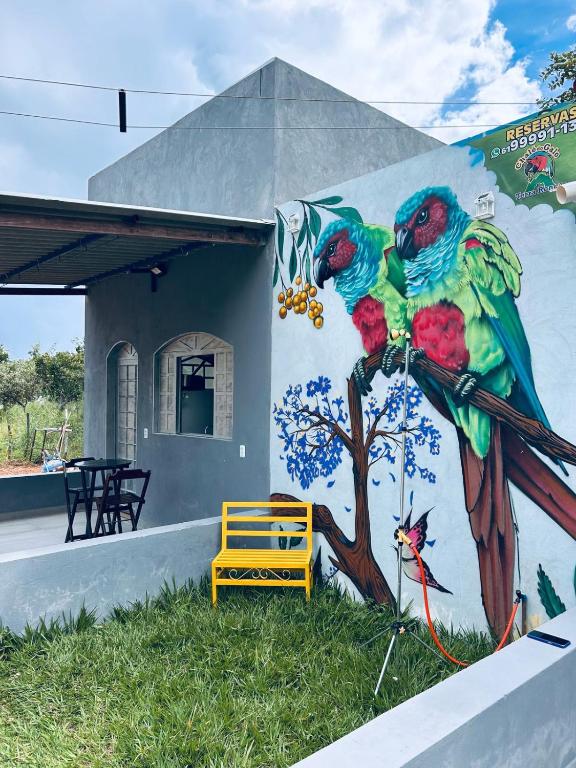 a mural of two parrots on the side of a building at Chalé do galo in São Domingos