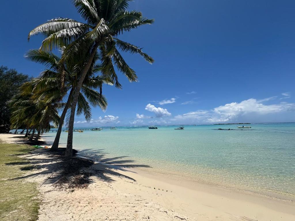 Bungalow Moe Moe Moea by ENJOY VILLAS - photo 10 - Moorea, Polynésie