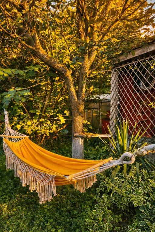 The Secret Garden House