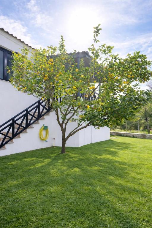a tree in a yard next to a building at Elia & Petra Villa in Prinos
