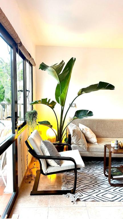 a living room with a couch and a potted plant at Sabinas place in Corralejo